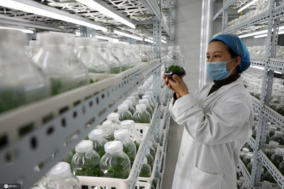 山東濱州 生物技術賦能現代農業，科技引擎助推產業升級